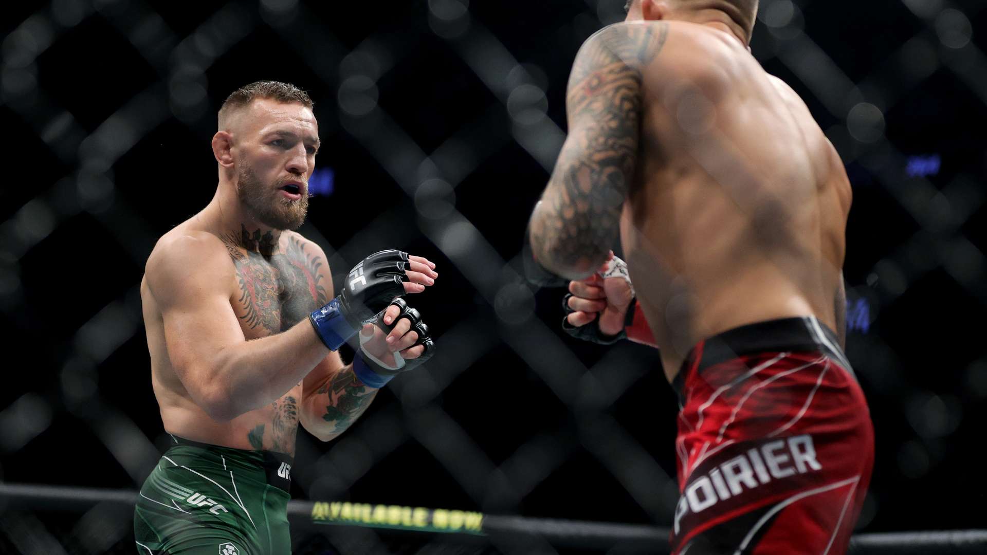 情期间因为 情期间因为