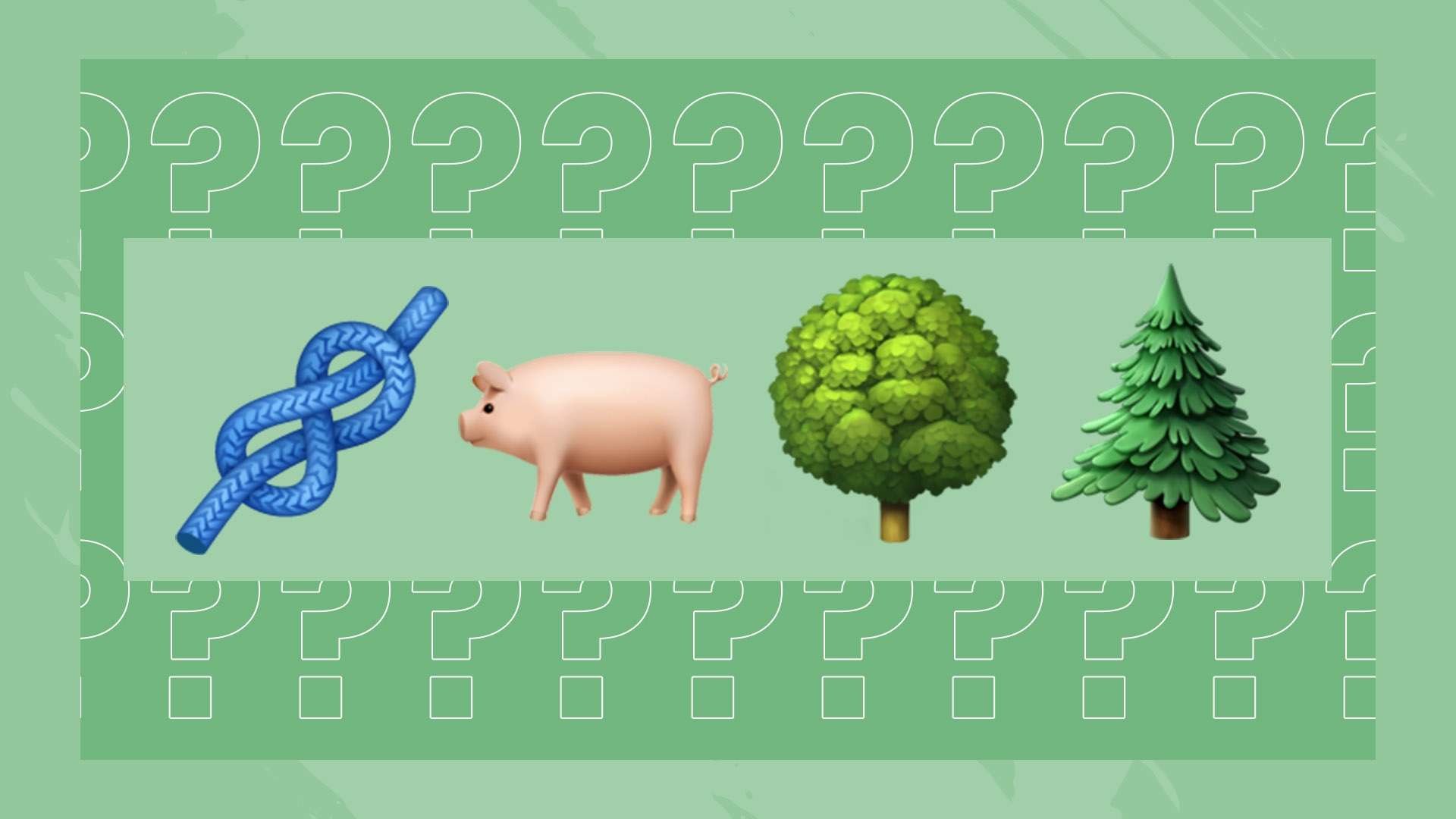 俱乐部的运 俱乐部的运